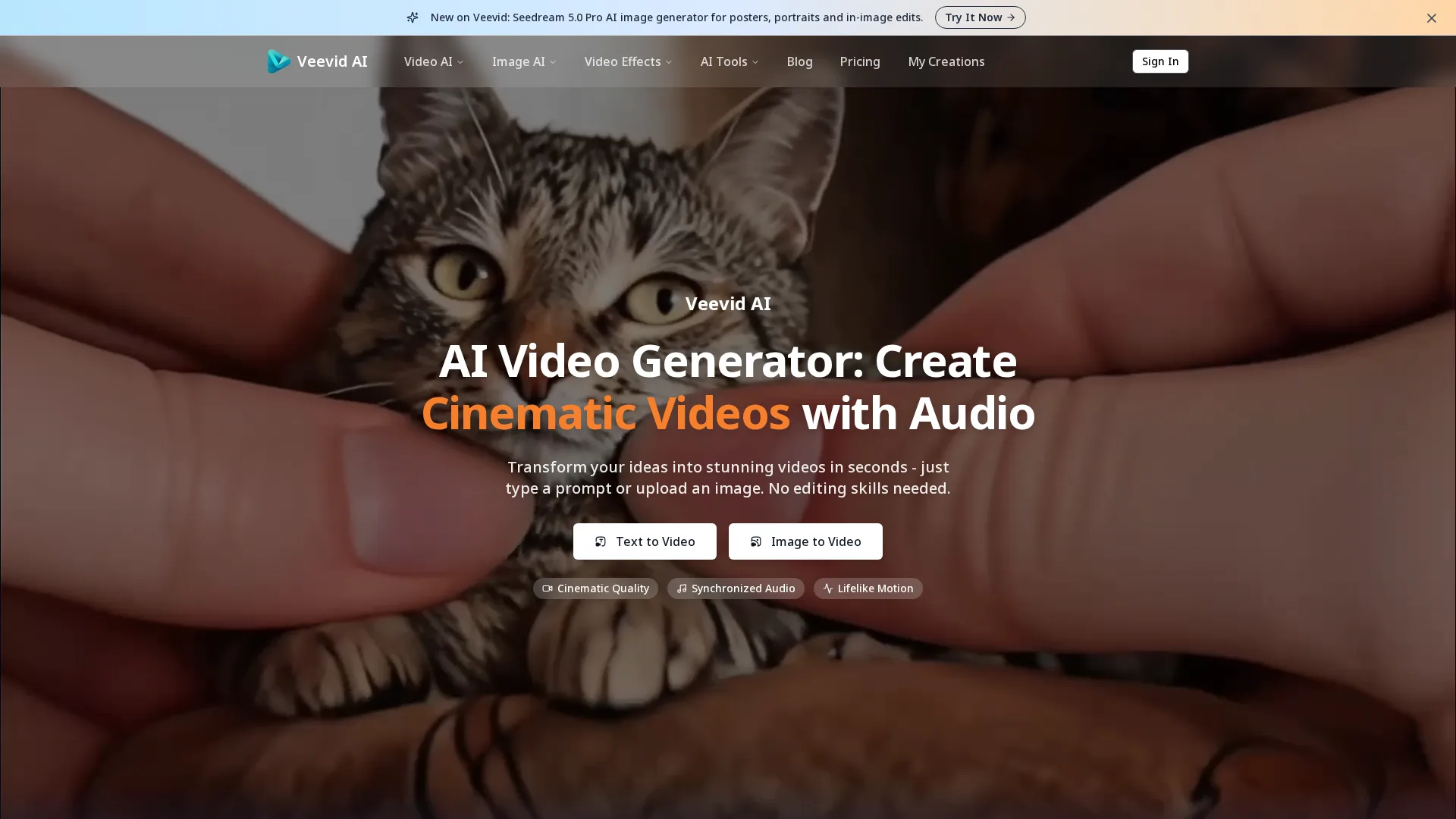 Veevid AI screenshot 1